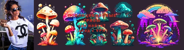 шишки Белоозёрский