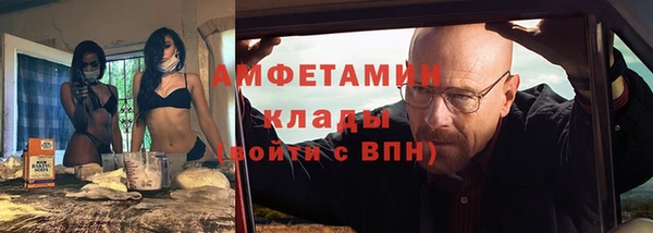 шишки Белоозёрский