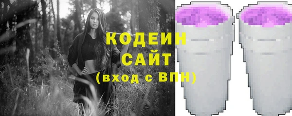 шишки Белоозёрский