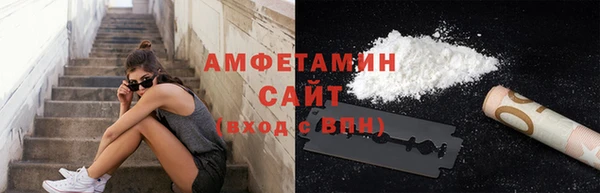шишки Белоозёрский