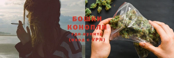 ГАЛЛЮЦИНОГЕННЫЕ ГРИБЫ Белокуриха
