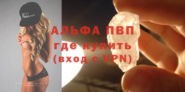ГАЛЛЮЦИНОГЕННЫЕ ГРИБЫ Белокуриха