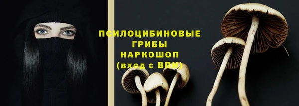 ГАЛЛЮЦИНОГЕННЫЕ ГРИБЫ Белокуриха