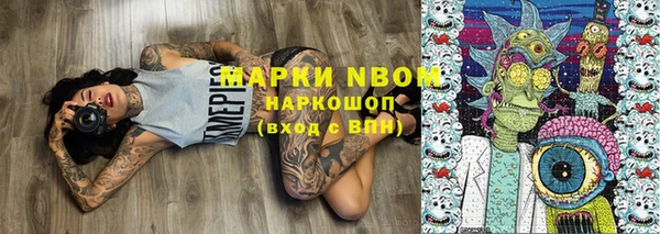 ГАЛЛЮЦИНОГЕННЫЕ ГРИБЫ Белокуриха