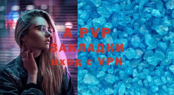 ГАЛЛЮЦИНОГЕННЫЕ ГРИБЫ Белокуриха