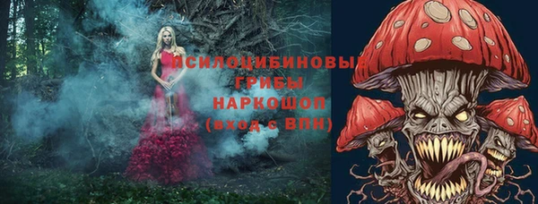 ГАЛЛЮЦИНОГЕННЫЕ ГРИБЫ Белокуриха