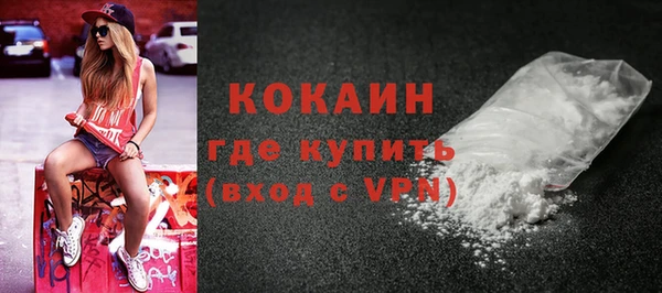 шишки Белоозёрский