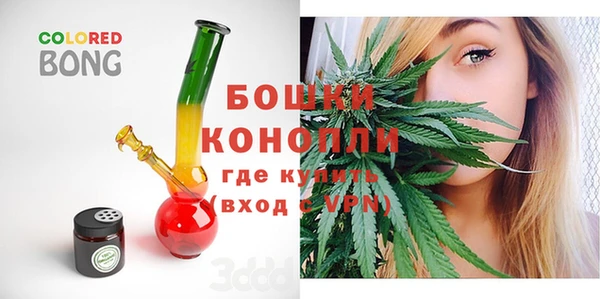 ГАЛЛЮЦИНОГЕННЫЕ ГРИБЫ Белокуриха