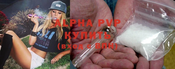 шишки Белоозёрский