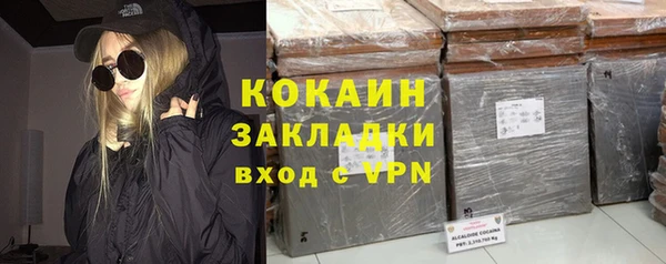 шишки Белоозёрский