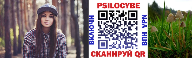 Псилоцибиновые грибы мухоморы  купить наркотики цена  Владивосток 
